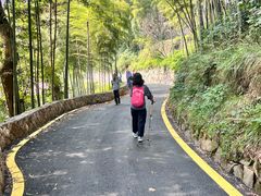 -莫干山风景区