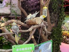 -正佳雨林生态植物园