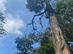 -终南山南五台景区