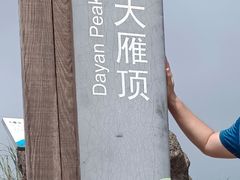 -杨梅坑