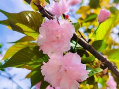 -重庆彩云湖湿地公园