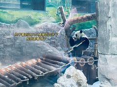 -黔灵山公园