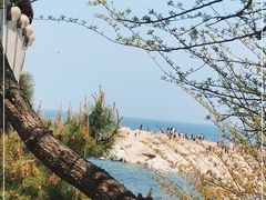 -养马岛旅游度假区