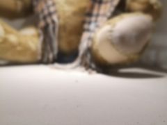 -成都泰迪熊博物馆