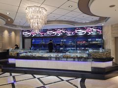 -粤珍轩.创始店.始于2001(含光门店)