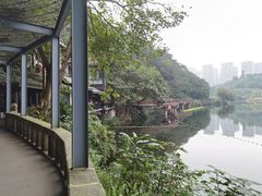 -重庆彩云湖湿地公园