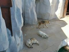 -秦皇岛乐岛海洋王国