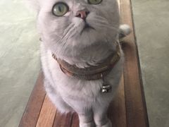 -研途咖啡馆(健康路店)