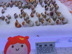 翡翠螺-澜悦港海鲜体验主题餐厅