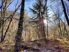 -叠溪松坪沟景区