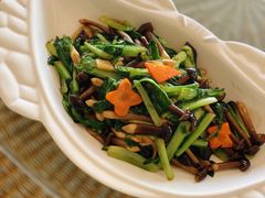 鸡纵菌炒小白菜-皇朝海鲜酒店