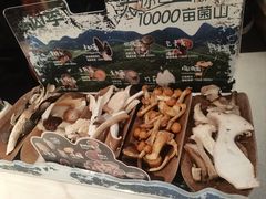 -芸山季·云南山珍菌火锅(南翔印象城MEGA店)