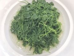 -苏启渔港(云南北路店)