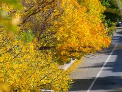 -大连市甘井子区体育场