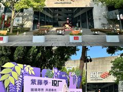 -嘉定紫藤园