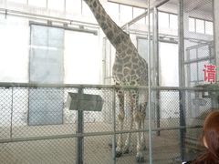 -石家庄市动物园