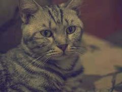 -万小咖.猫咖(中山路天虹店)