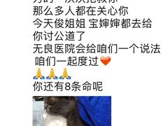 -贝利宠物医院·骨科·眼科·肿瘤转诊中心(南坪诊疗中心)