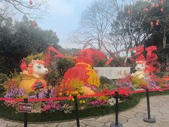 -西湖游船