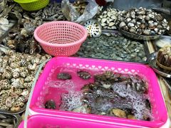 -四川人郑霞海鲜