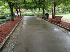 -嘉定紫藤园
