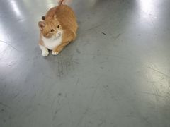 -蓝天射箭馆·专业射箭运动(诚丰广场店)