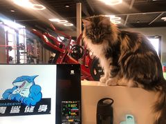 -BD健身私教工作室(CBD店)