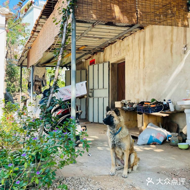 北海涠洲岛游玩攻略