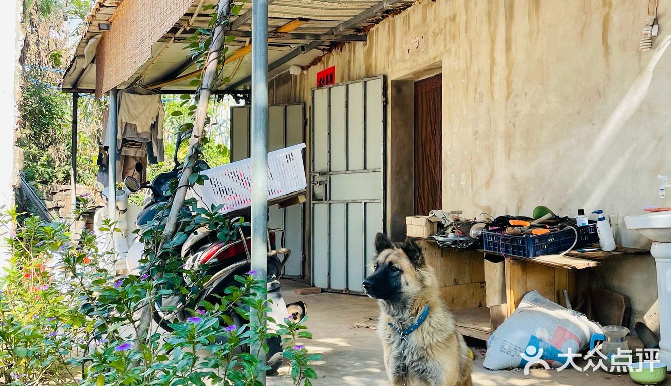 北海涠洲岛游玩攻略