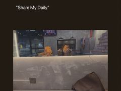 -chicken plus韩国炸鸡(城阳店)