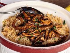 -侨美·唐荔园·40年地道粤菜