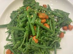 凉拌丝瓜尖-金三杯酒家(泉城路店)