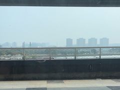 -望湘园·洞庭渔宴(浦江欢乐颂店)