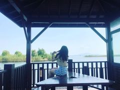 -太湖湖滨国家湿地公园-停车场
