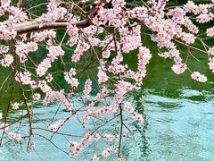 -安定门(地铁站)