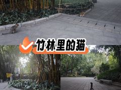 -晓港公园