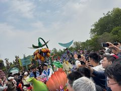 -荷兰花海