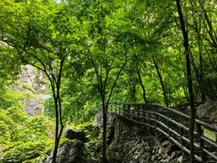 -十渡东湖港风景区