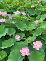 -大望京儿童游乐场