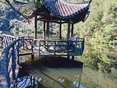 -龙湾潭国家森林公园