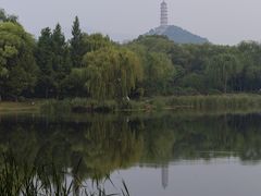 -北坞公园