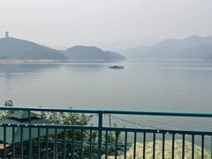 -望湖烤鱼