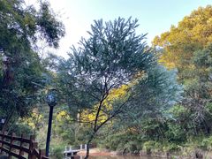 -广州白江湖森林公园