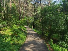 -帽儿山国家森林公园