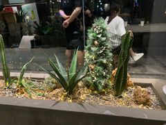-KCOOKING概念韩餐(世茂52+店)