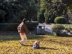 -安徽大学(龙河校区)