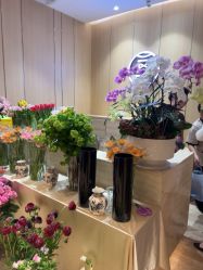 -恒美雅轩·品牌直营连锁