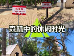 -黑龙江省森林植物园