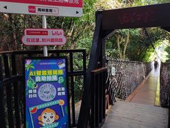-亚龙湾热带天堂森林公园