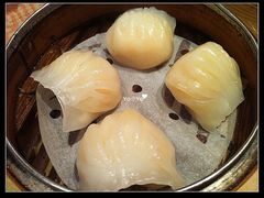 虾饺-糖朝(尖沙咀店)